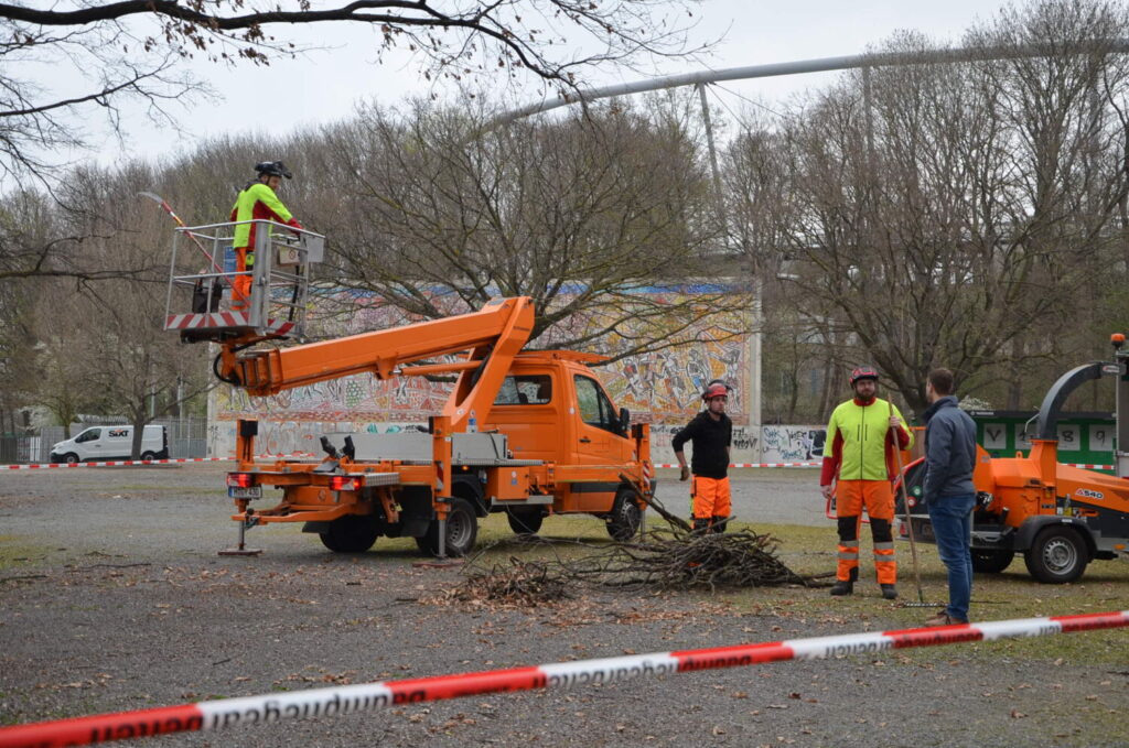 Hannovers Straßenbäume werden bewässert und beschnitten, um sie zu erhalten.