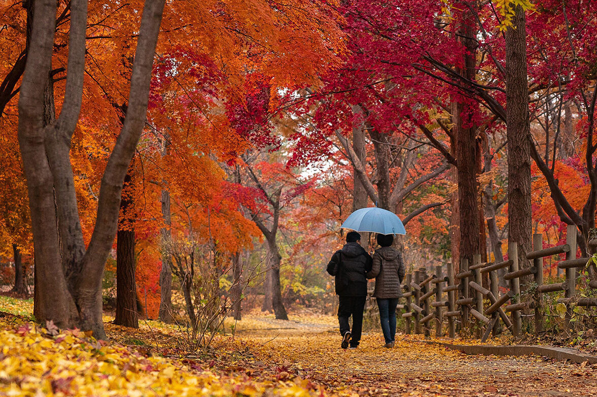 Featured image for "Ein Plädoyer für den Herbst"