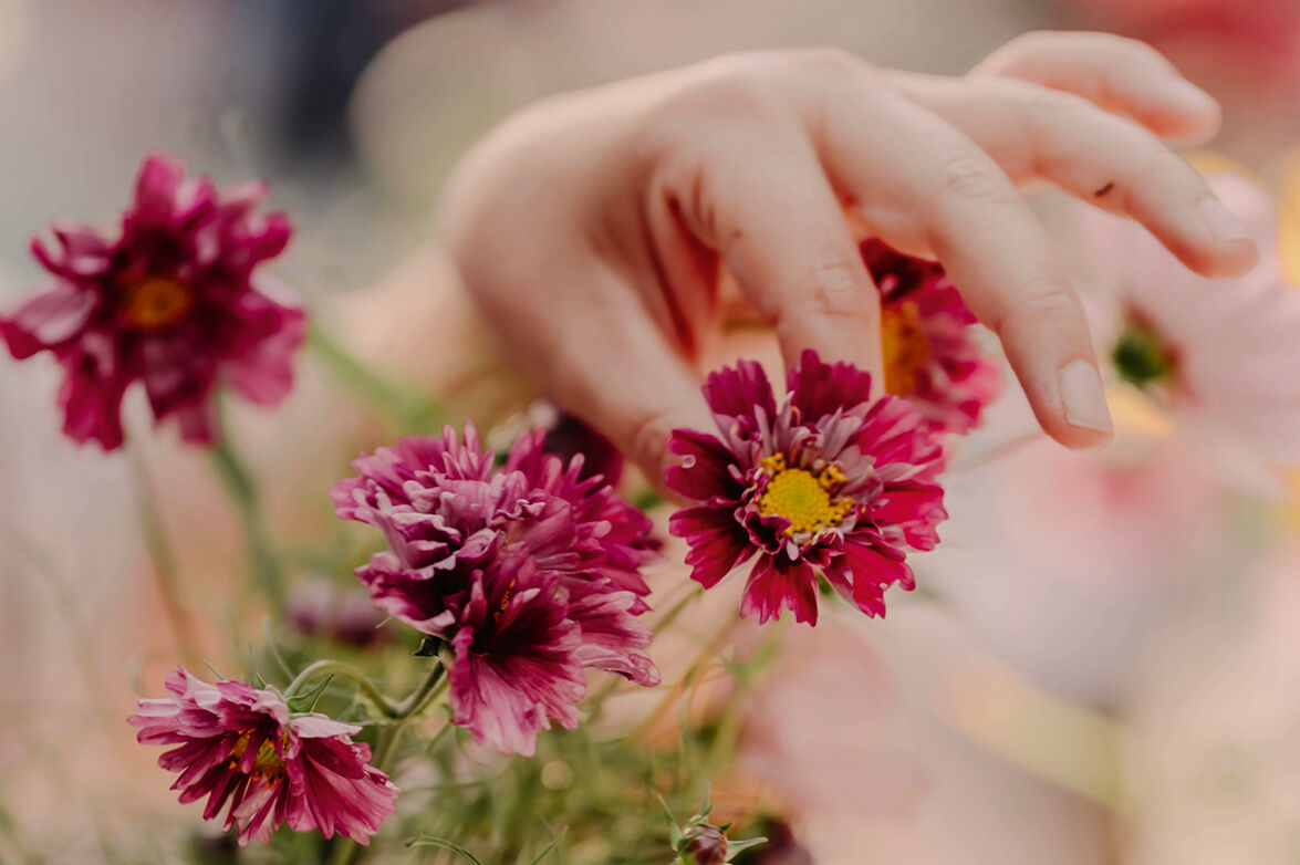 Featured image for “Slowflowers: Blumen mit Haltung”